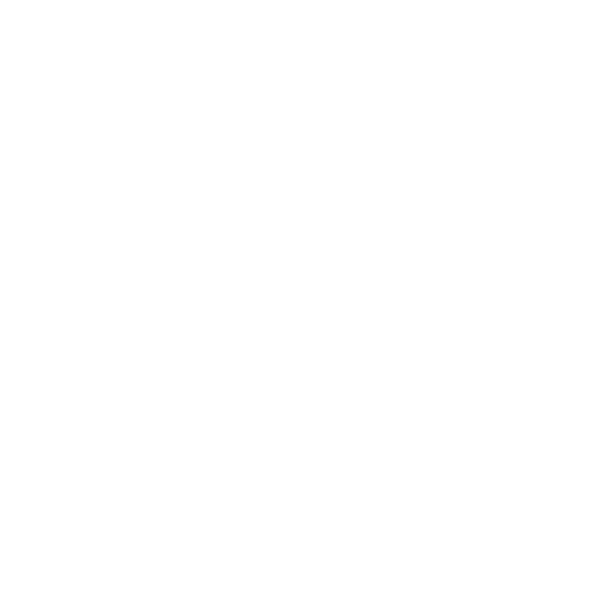 The Vieri Group